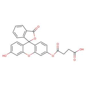 RAM3997... Fluorescein mono succinate